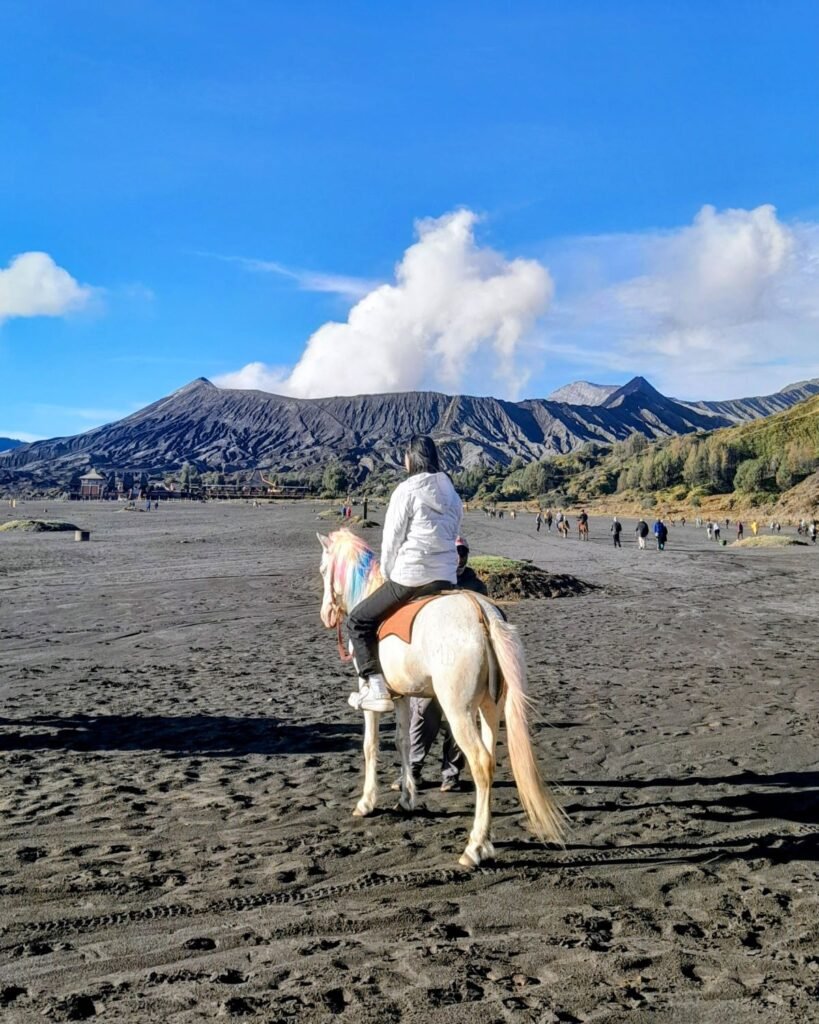 eastjava highlight (6)