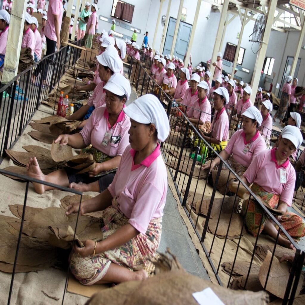 cigar and coffee experience (3)