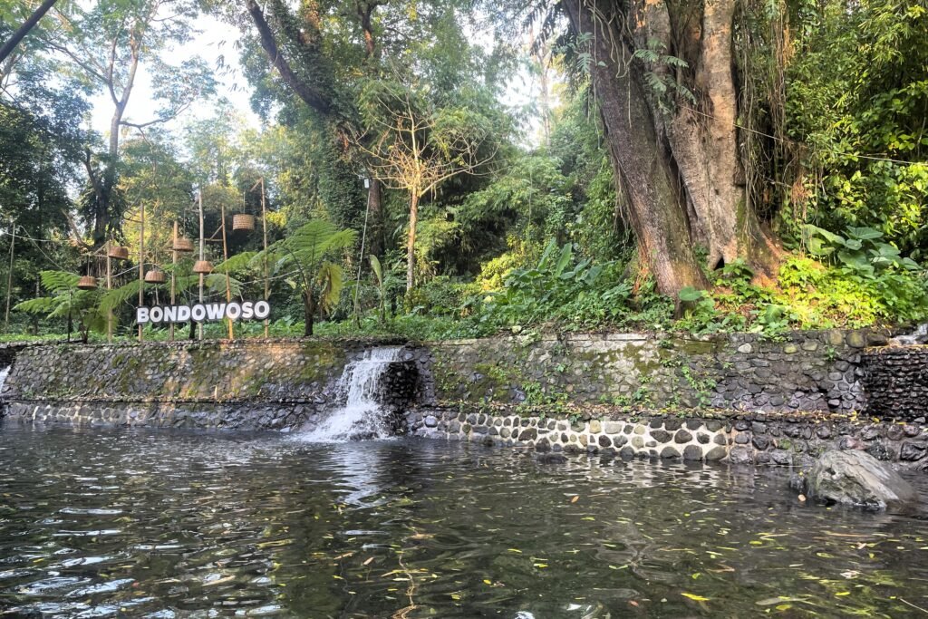 tirta bondowoso