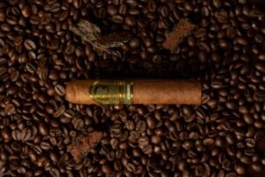 lauk daun edmundo wooden tube