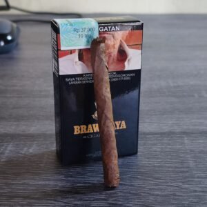 brawijaya 10 cigarillos