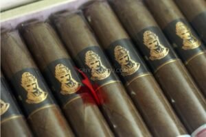 brawijaya 10 robusto