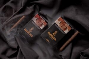 brawijaya 10 cigarillos