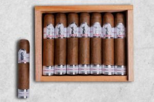 joker 14 petit edmundo