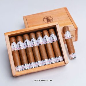 joker 14 petit edmundo