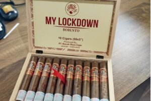 my lockdown 10 robusto