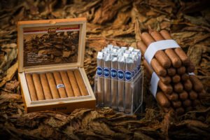 c99 20 squared half corona foil