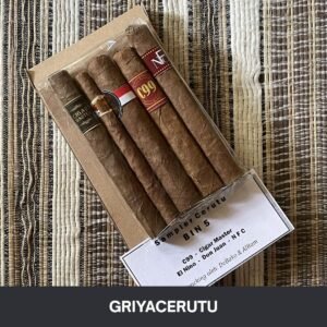 sampler hemat 5 varian bin paper pack