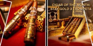 stay gold 3 trompeta cigars