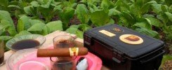 cigar coffee outdoor