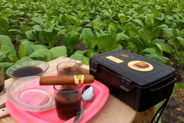 cigar coffee outdoor